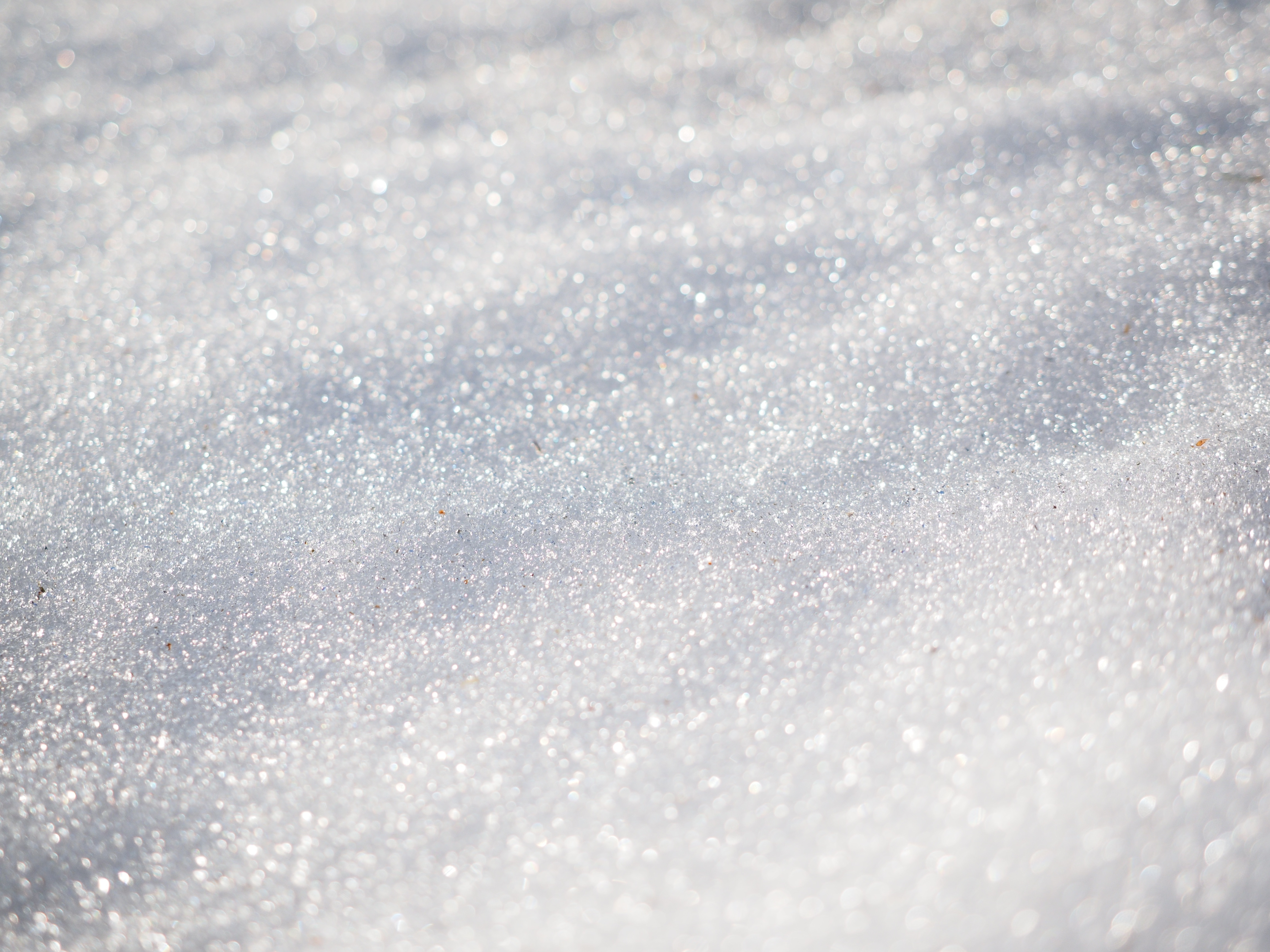 Snow Crystals in Winter